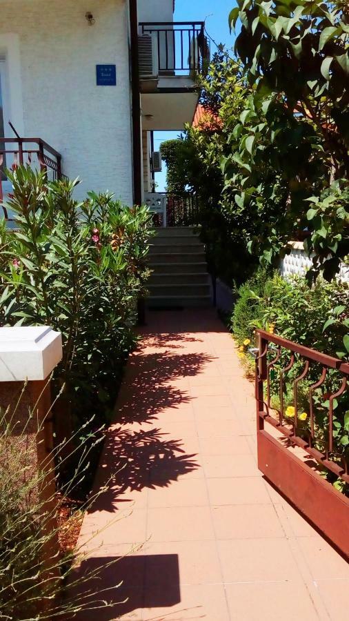 Apartmani Komunela Umag Bagian luar foto